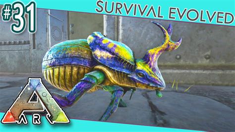 ark dung beetle level up.